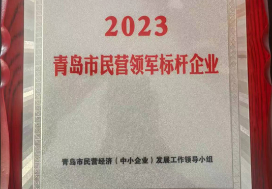 青島市民營領軍標桿企業(yè)