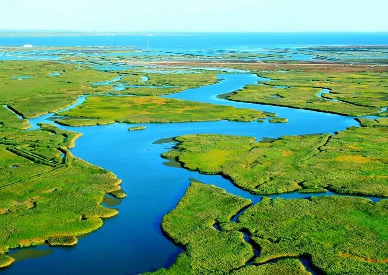 魅力大洼 商機無限 | 遼寧盤錦大洼區招商引資推介 2509142.jpg