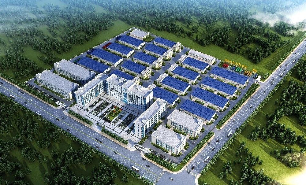 1762996667610355.jpg 2507034.jpg