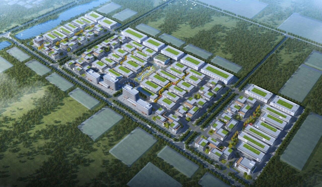 1765445354142473.jpg 25121117.jpg