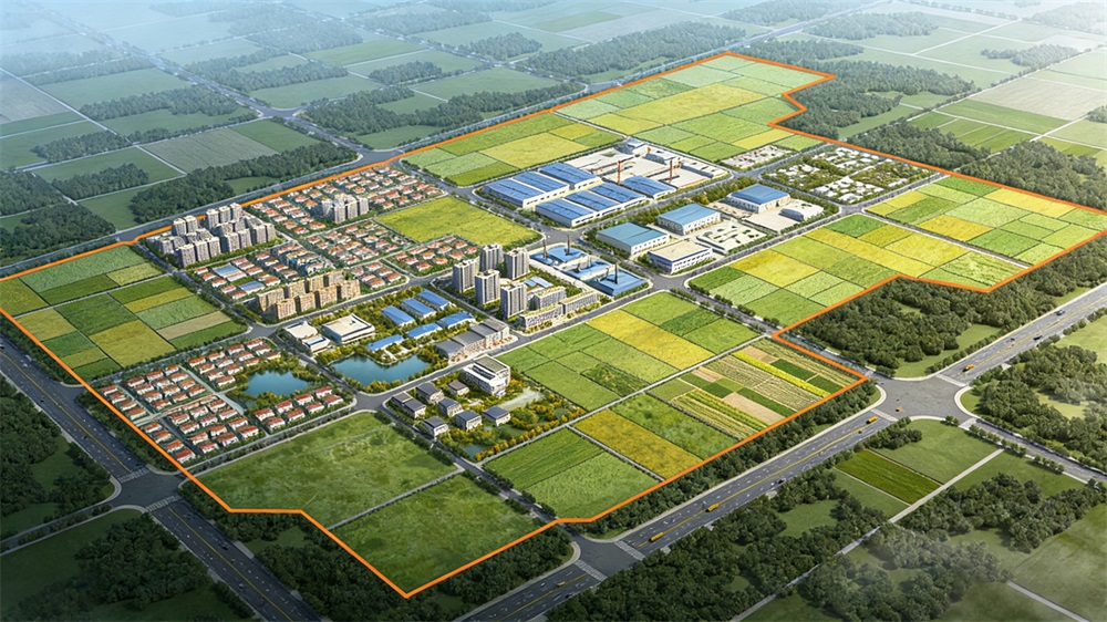 1766020629318506.jpg 2512171a.jpg