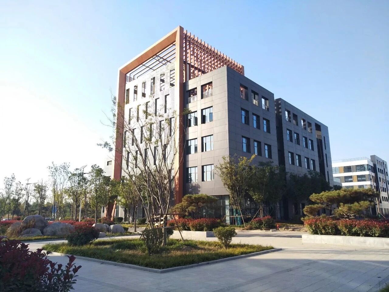 1766623935161661.jpg 2512035.jpg