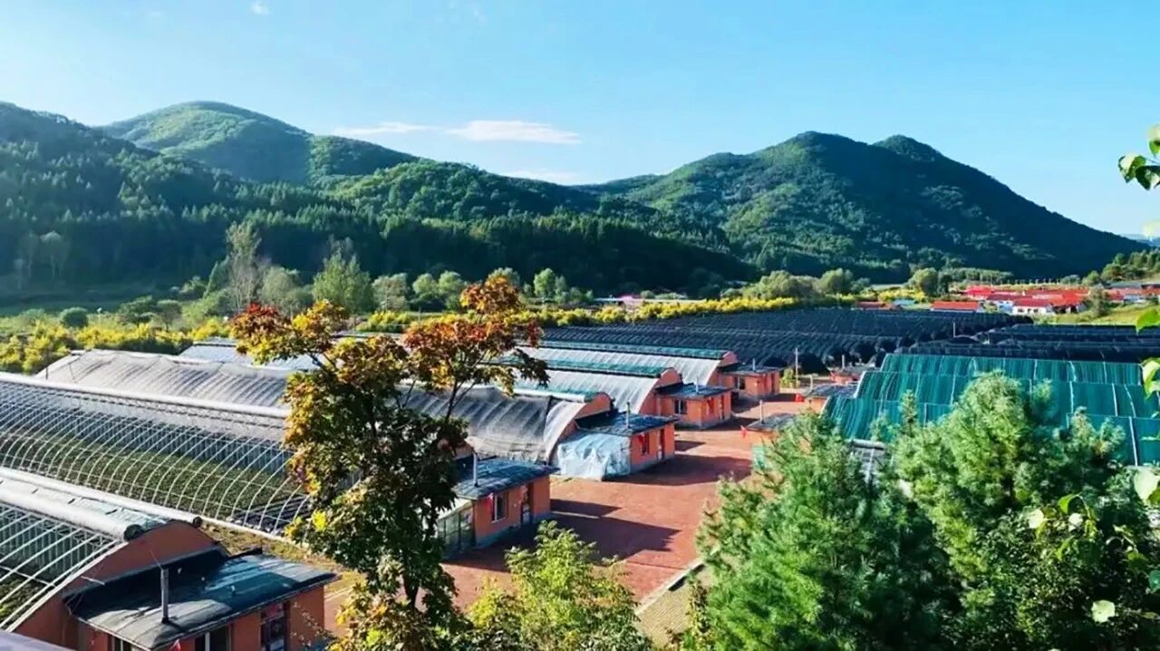 1766643667704809.jpg 2512257.jpg