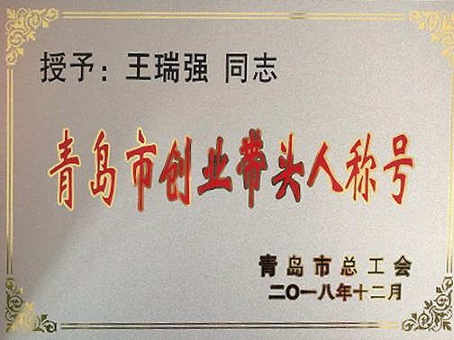 青島市創(chuàng)業(yè)帶頭人