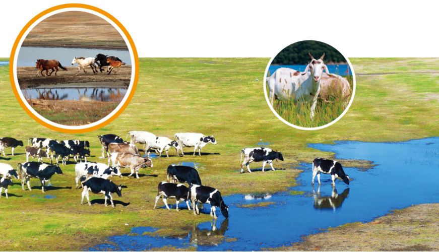 640 (2).png 640 (2).png